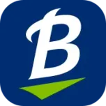 favicon blundstone.com