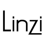 favicon linzi.com